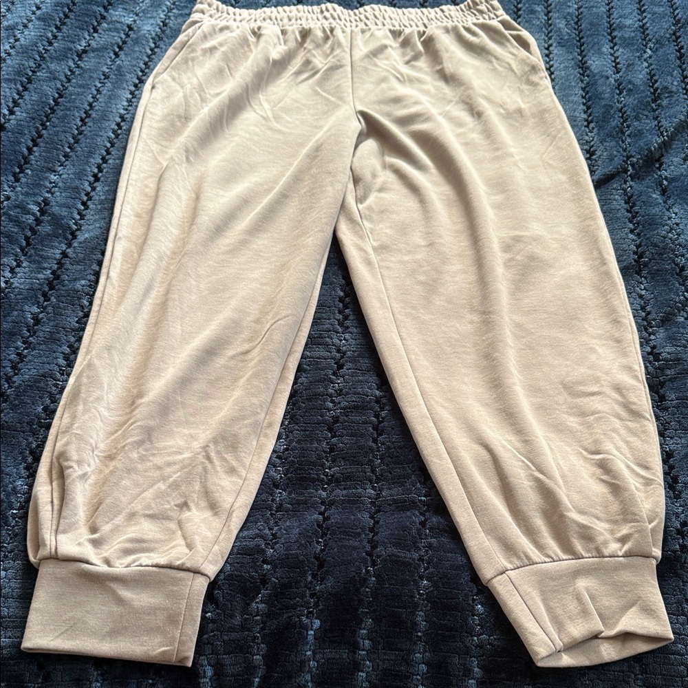 NWOT Danskin joggers